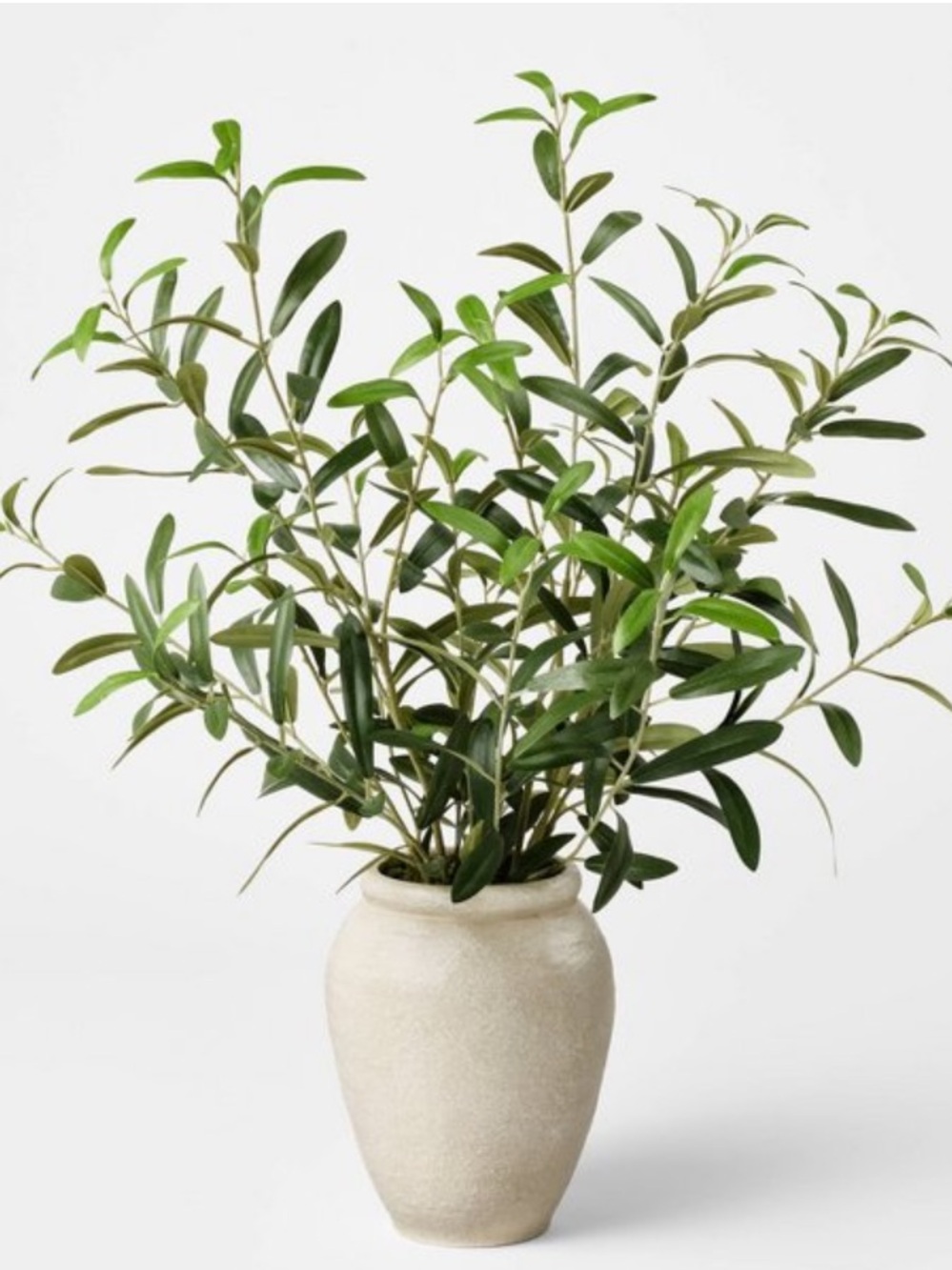 STUDIO MCGEE NWT Large Olive Leaf Arrangement